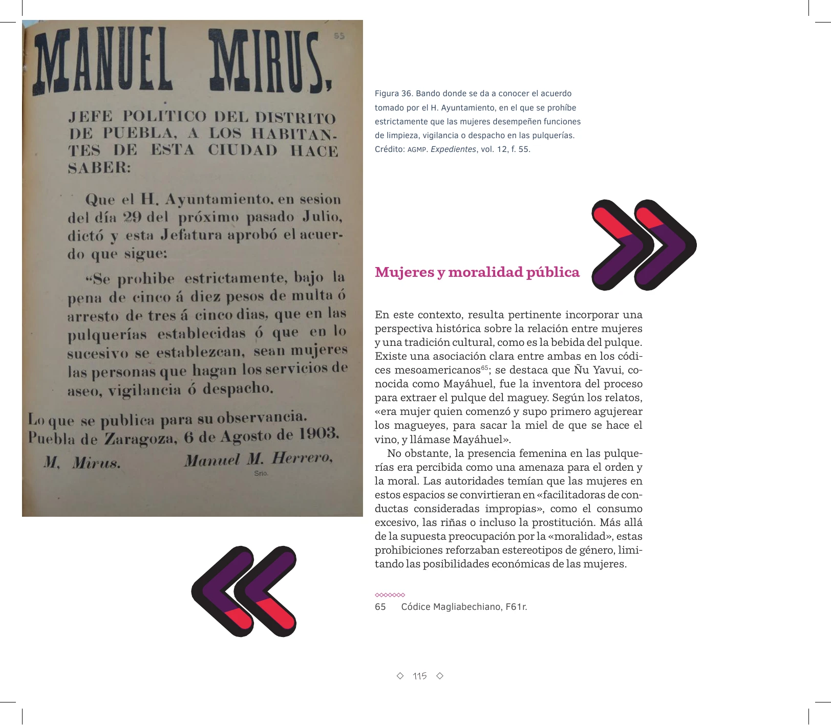 Página 115